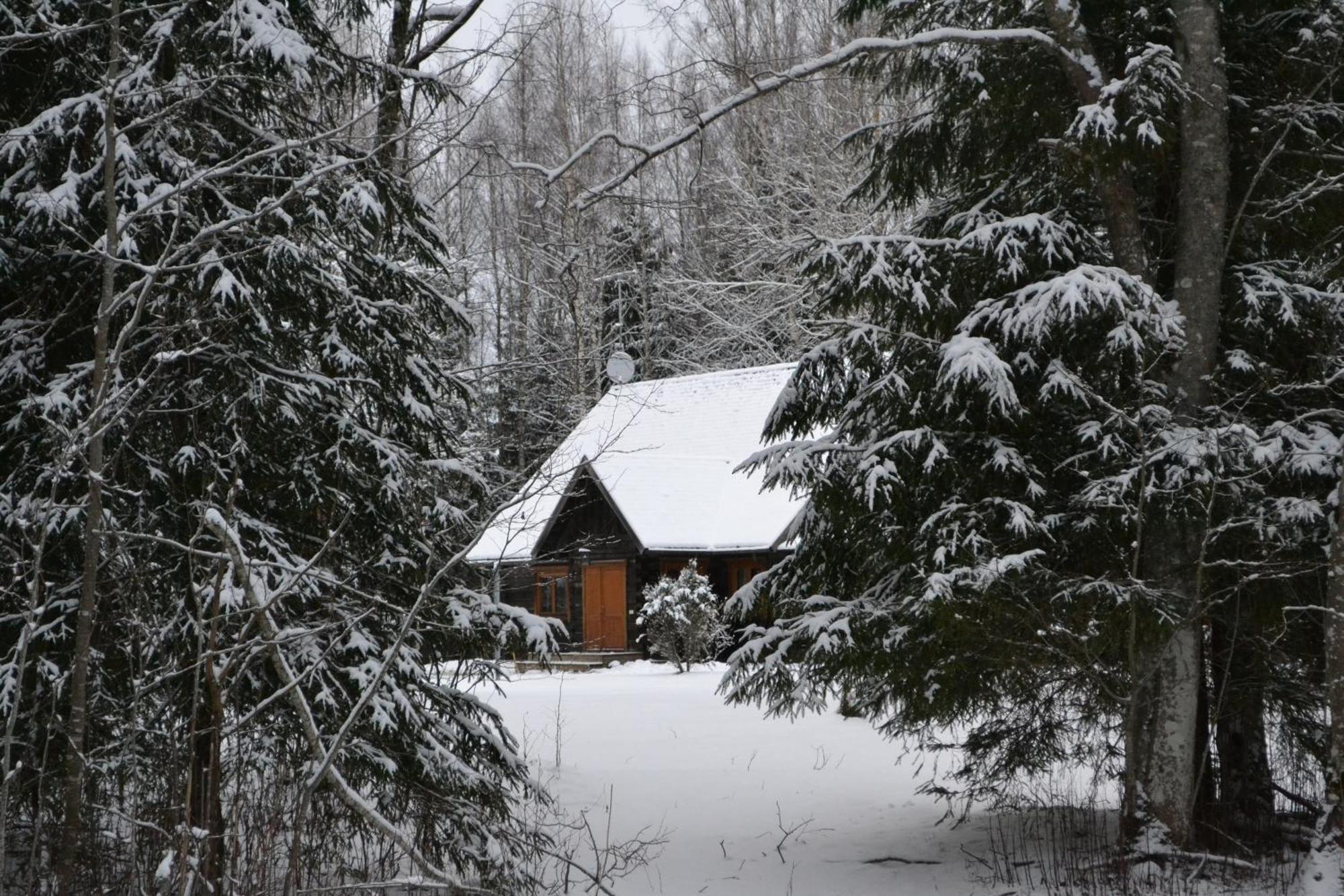 Toosikannu Nature Resort Käru Exteriör bild